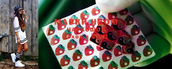 тгк Белокуриха