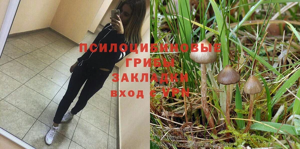 тгк Белокуриха