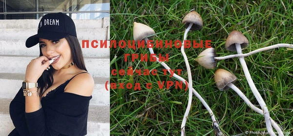 тгк Белокуриха