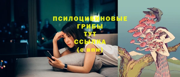 тгк Белокуриха